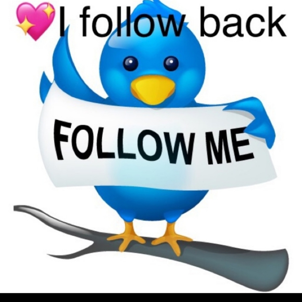 FOLLOW ME AND I'LL FOLLOW BACK